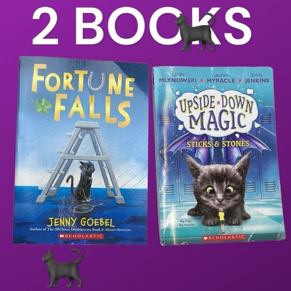Fortune Falls and Upside-Down Magic: Sticks & Stones Books Lot of 2 Paperback